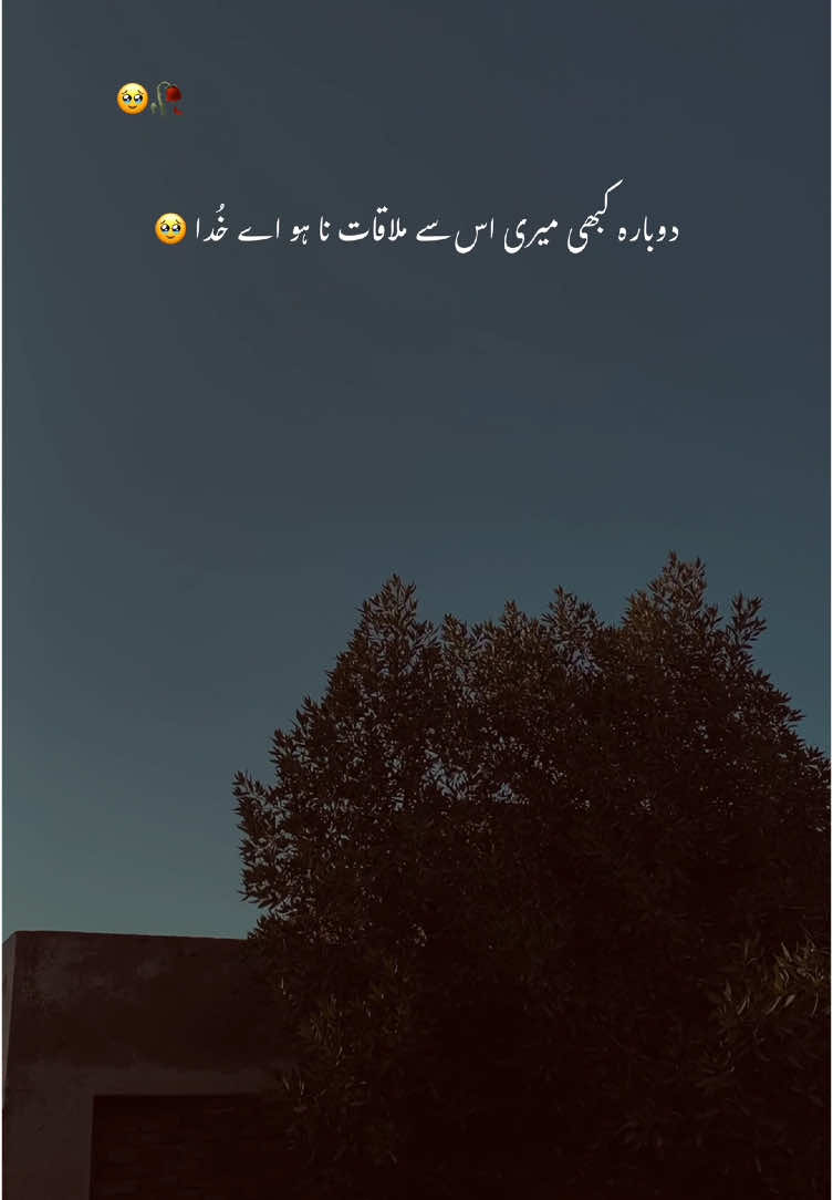 بڑی مشکل سے سنبھالا ہے خود کو 😩💔#aesthetic #poetry #poetrystatus #grow #account #foryou #foryoupage #1million #rehann_vibe 