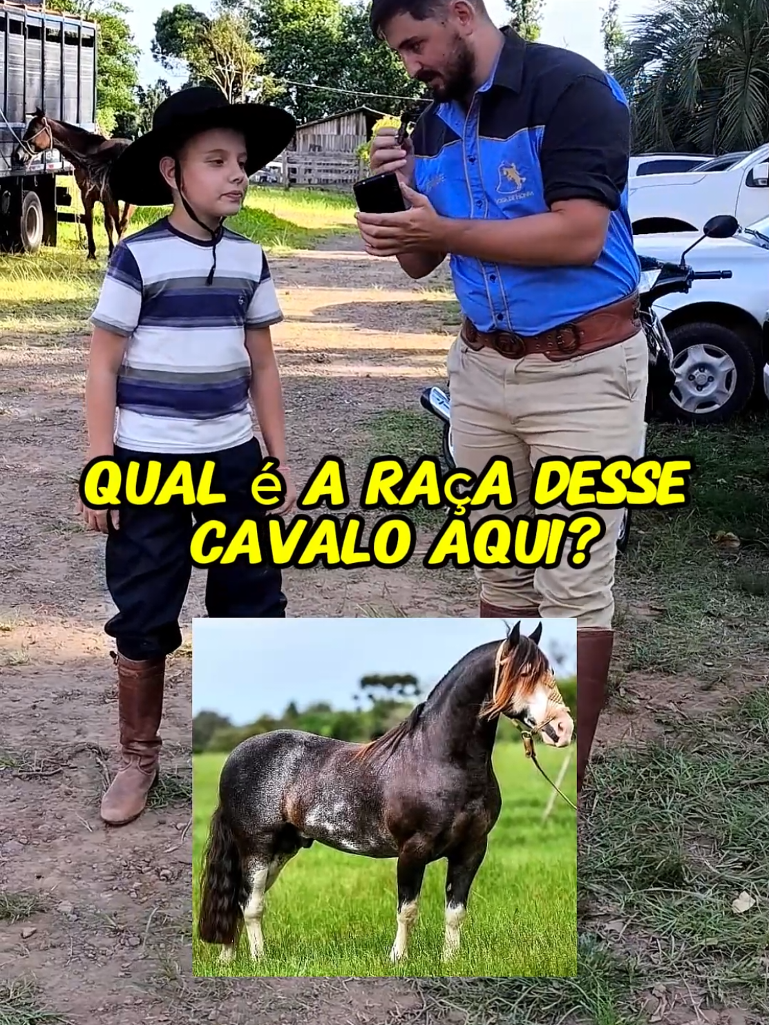 Qual a Raça? #agro #fazenda #cavalo #rodeio #animais 