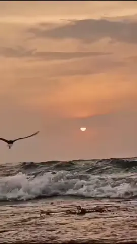 #دمه خفيف #علي عبدالكريم #🕊️♥️🕊️♥️🕊️♥️🕊️♥️🕊️♥️🕊️♥️🕊️♥️🕊️♥️🕊️♥️ #