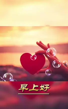 #早安 #2025 #后 #❤️ #0125 #想妳的每一天 #愛情 #永遠 #情感 #珍惜 #我要上推薦 #上熱門 #抖音爸爸別限我流 #流量 #抖音 #陪伴 #緣分 #幸福 #💜 #520 #530 #💞 #🥰🥰🥰 