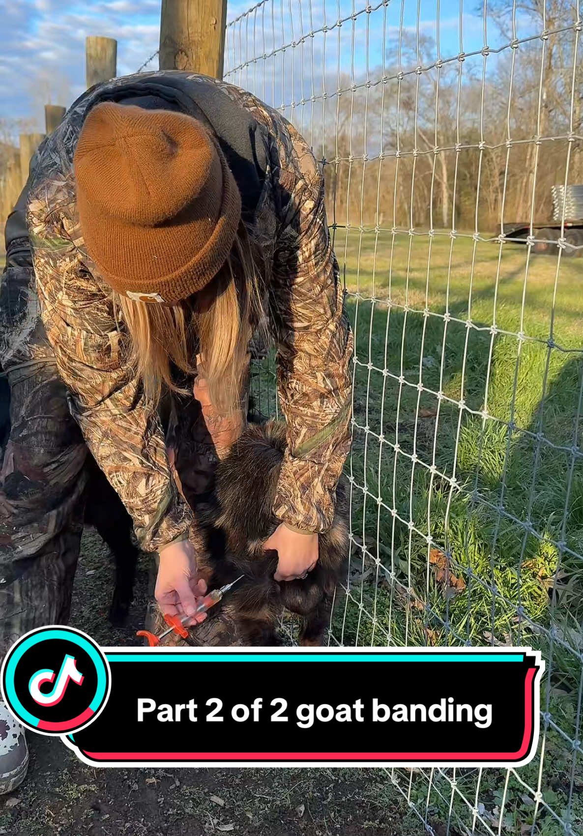 Part 2 of 2 the day we banded the boys! I didn’t film the actual banding since we needed all hands on deck to make sure everything was done right! #goats #farmlife #cuteanimals #farm 