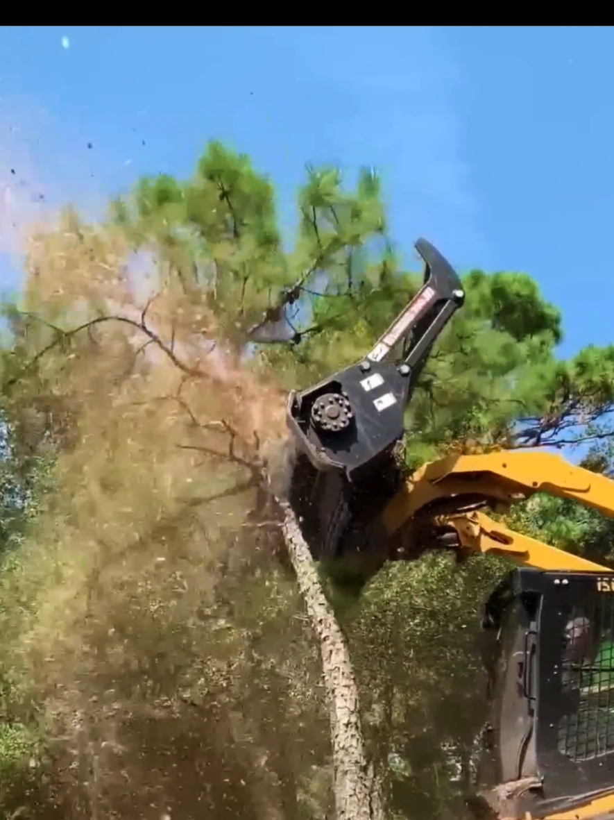 Pro tree cutting machines 🌳✂️🪚 #professional #treecuttining #tools #machine 
