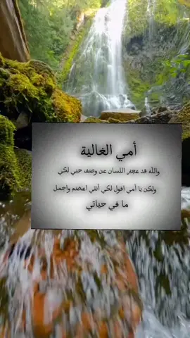 #امي #نبض #قلبي#حياتي #امي #الله#يحفظك #ويحفظ #جميع #الامهات #ويخليكي#لي#يتاج_راسي 