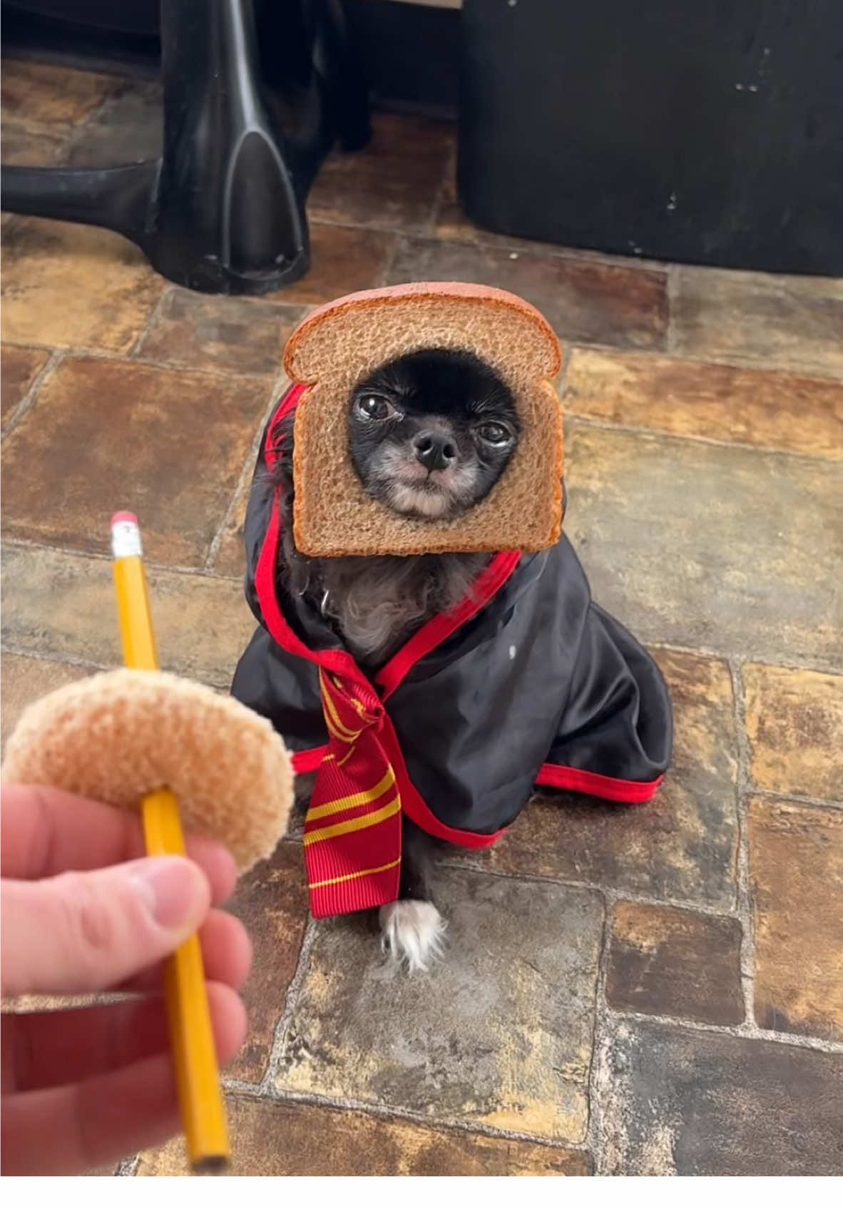 Bread Wizard Puddin 🍞🧙🏼‍♀️