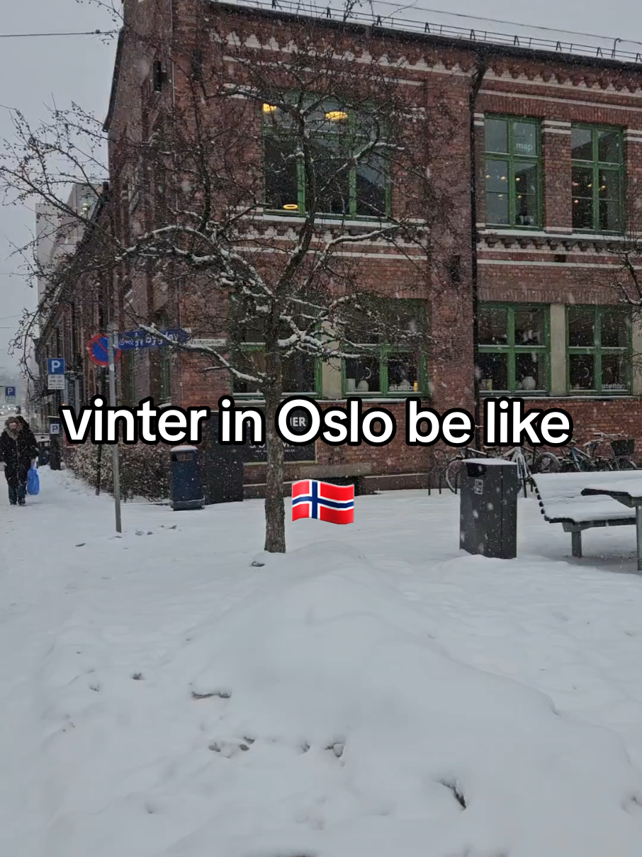 like snow is never expected in winter #Norway🇳🇴 #nord #norwegian #oslo 