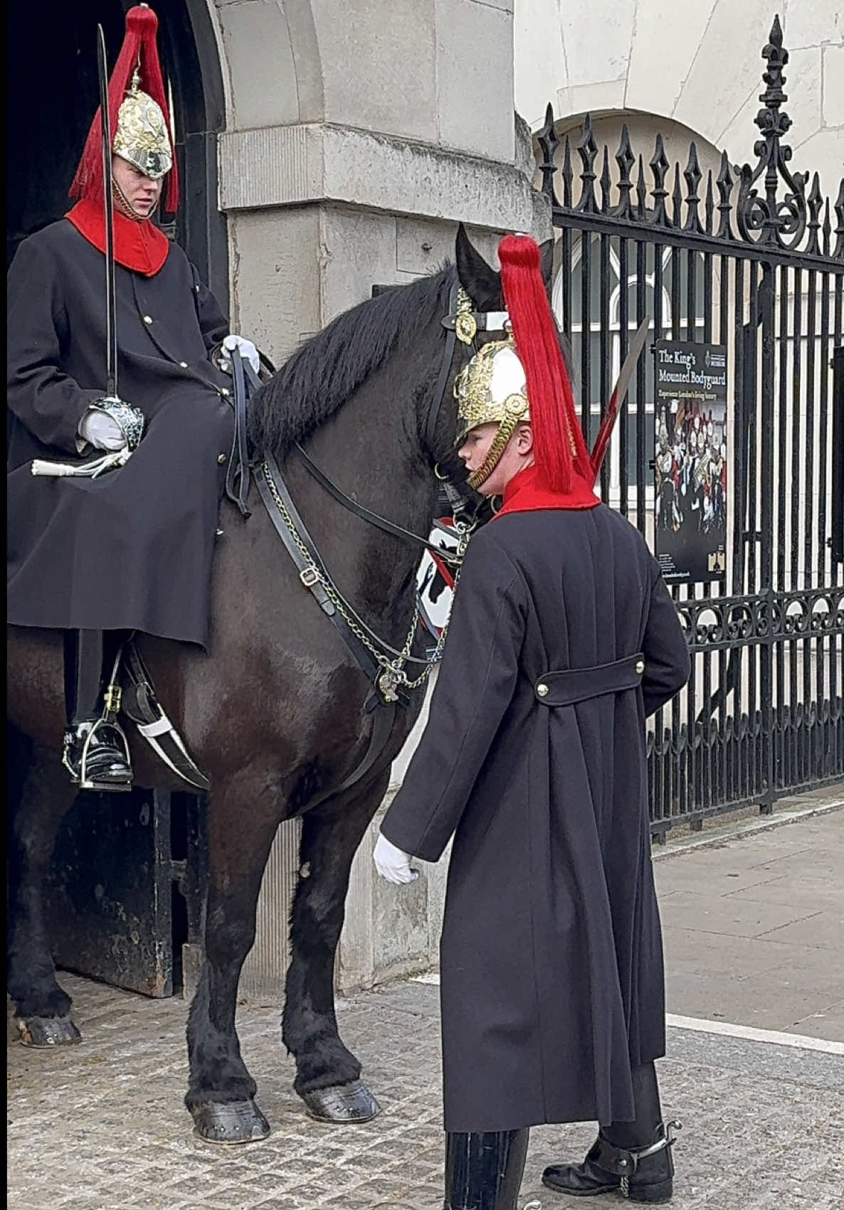 A Spectacular Day at Horse Guard Parade: Regal Horses and Global Tourists! 🇬🇧🐴