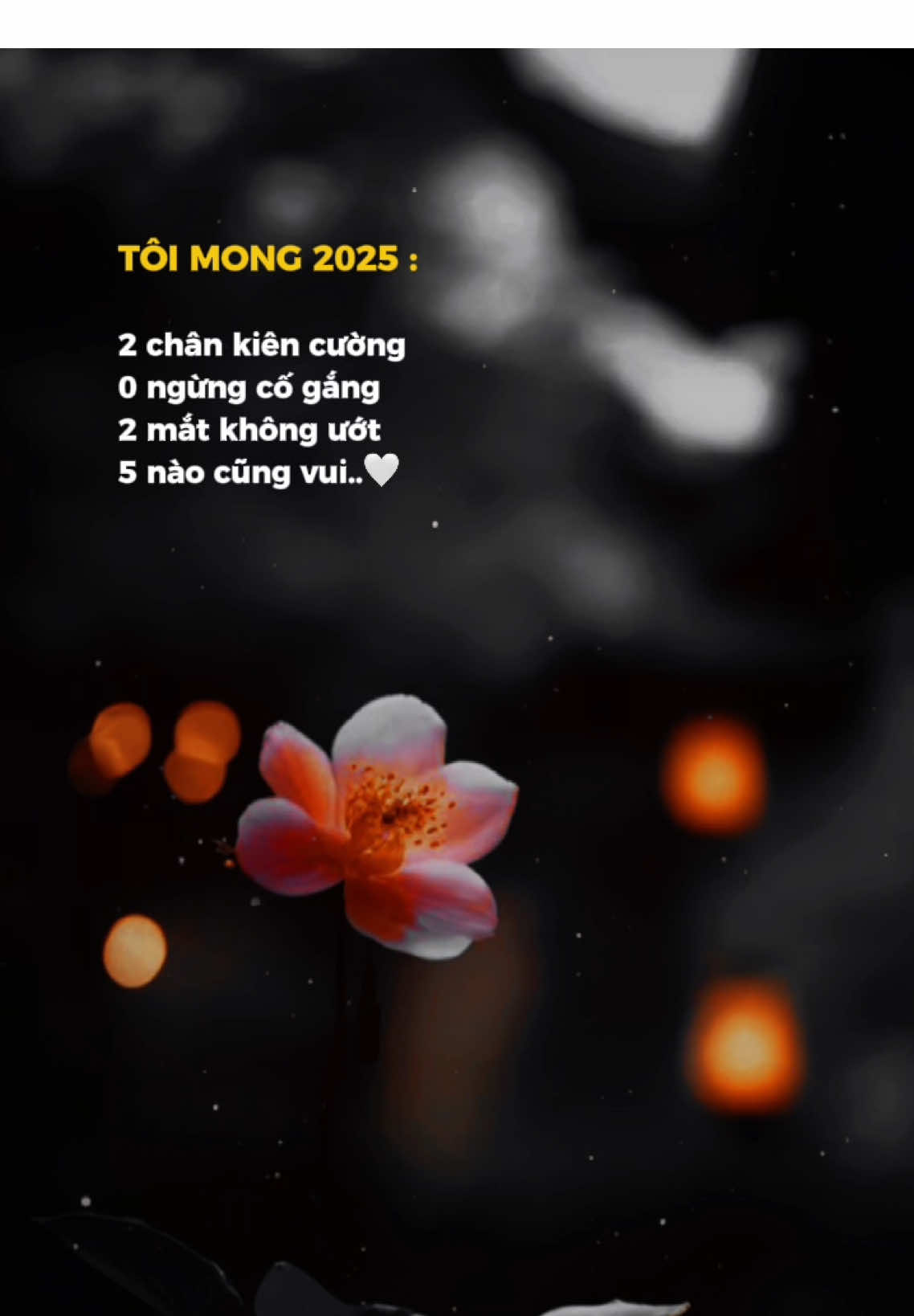 TÔI MONG 2025 : 2 chân kiên cường 0 ngừng cố gắng 2 mắt không ướt 5 nào cũng vui..🤍 #tramnhacbuon_07 #bkmuzic #teddyentertainment #teamteddy #CapCut 