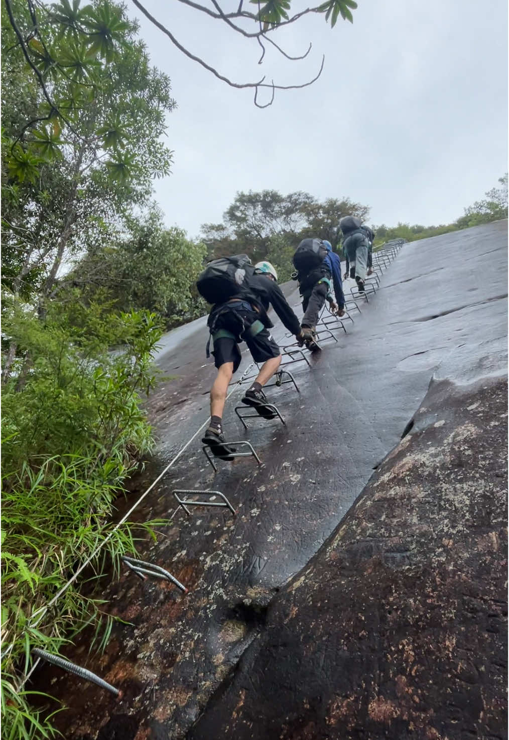 BUKIT KELAM 1002Mdpl  @Via Ferrata Bukit Kelam  - - #bukit #bukitbintang #bukitkelam #bukitkelamsintang #bukitkelammaulewat #bukitkelammm #bukitkelamkalbar #bukitkelamsintangkalimantanbarat #bukitkelampunyecerite #bukitkelamnibos #bukitkelamfyp #bukitkelamviaferrata #gunungkelam #gunungkelam1002mdpl #batu #batumonolitterbesardidunia #fyp #fypage #fypp #fypdong #fyppp #masukberanda #masukberandafyp #masukfyp #masuk #masukberandamuu #masukfypdong #masukberandatiktok #sintang #sintangkalimantanbarat #sintangkalbar #kalimantan #kalimantanbarat 