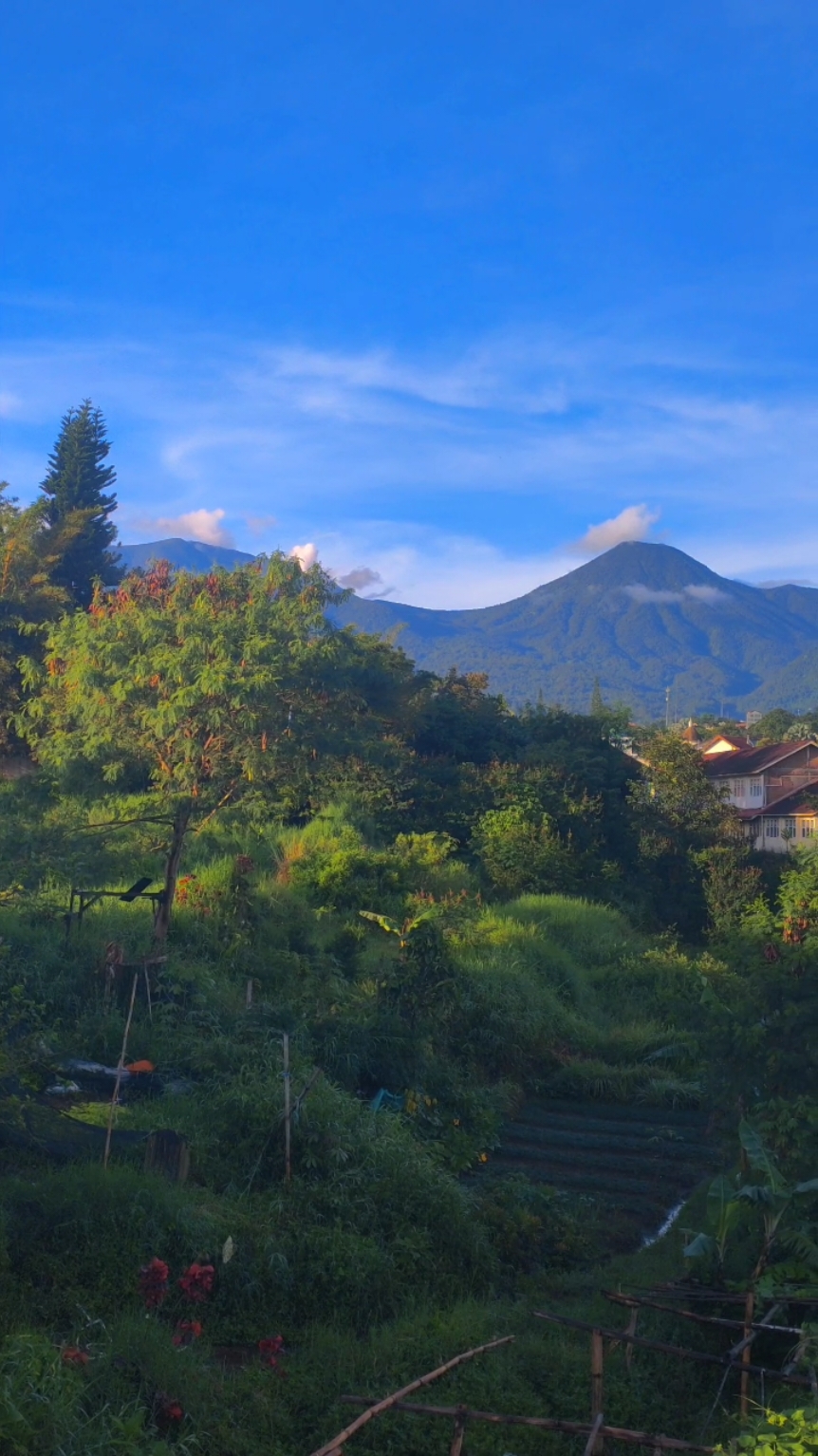 cerahhh. #foryou #pemandangan #vibes #pagi #indah #musim #hujan #gunung #gununggede #gunungpangrango #cerah #puncak #puncakbogor #desa #palasari #jawabarat #liburan #healing #fyp #fypシ 
