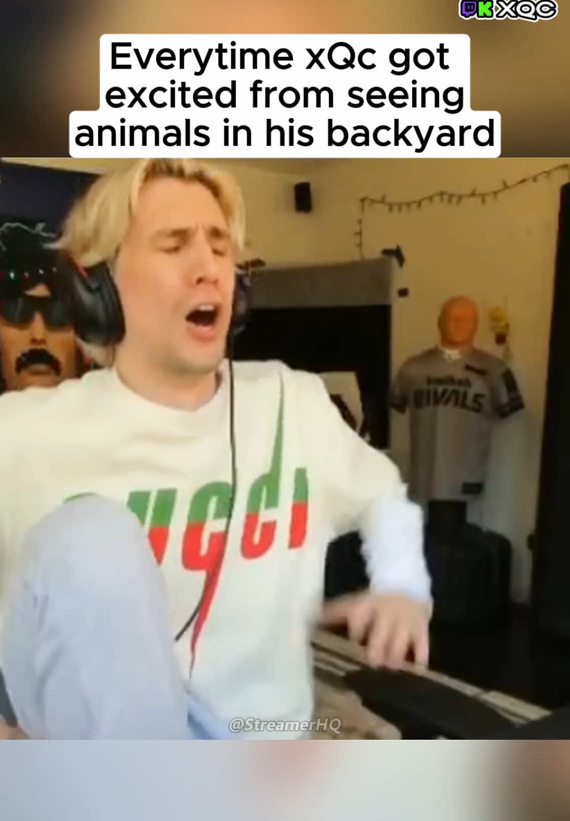 xQc gets excited everytime he sees animals in his backyard 😂 #xqc #animalsoftiktok #wholesome #xqclips #fyp 