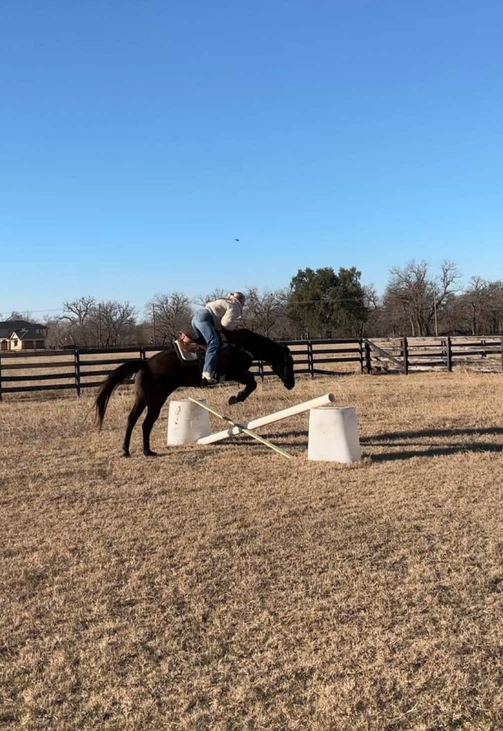 I’m dying this is so funny…anddddd this is why we stick to western disciplines. Pls tell me I’m not the only one who does this. #fyp #horses #western #jumping #country #help 