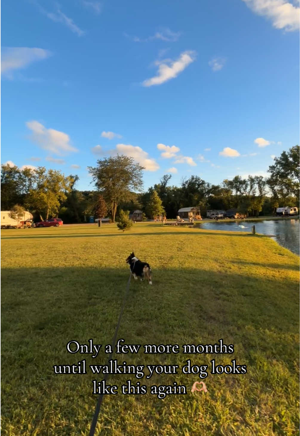 Counting down the days ☀️🐾 #dailywalks #goldenhour #midwest #mybestfriend #corgi #betterdaysahead #positivity 