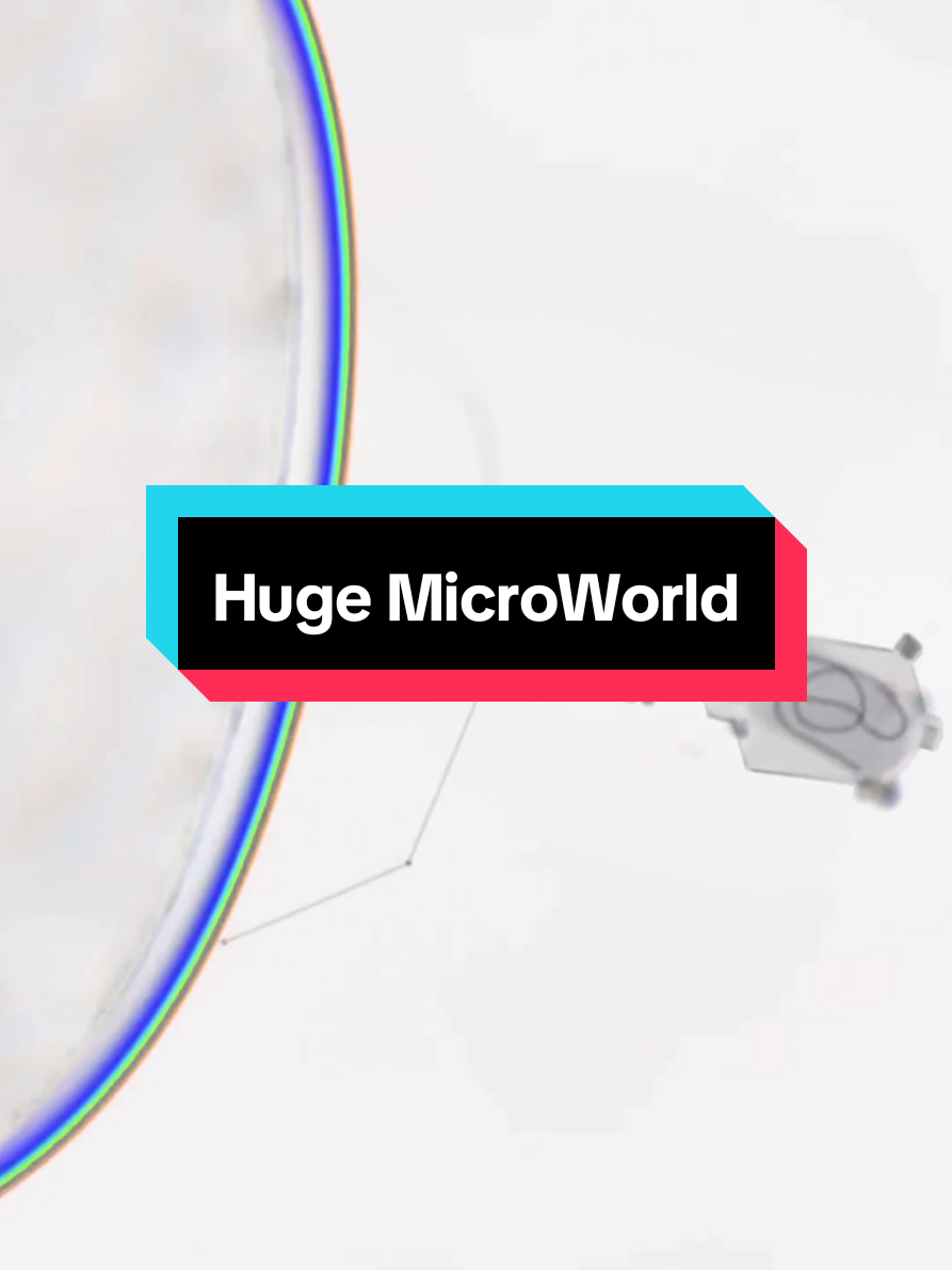 Witness the intricate micro motors within bacteria and protozoa! 🦠 Even in the tiniest creatures, we see astounding complexity and precision—a testament to divine craftsmanship. ✨ How can such sophisticated designs exist without a higher power? #MicroMotors #virus #bacteria  #intelligentdesign  #deepseek 