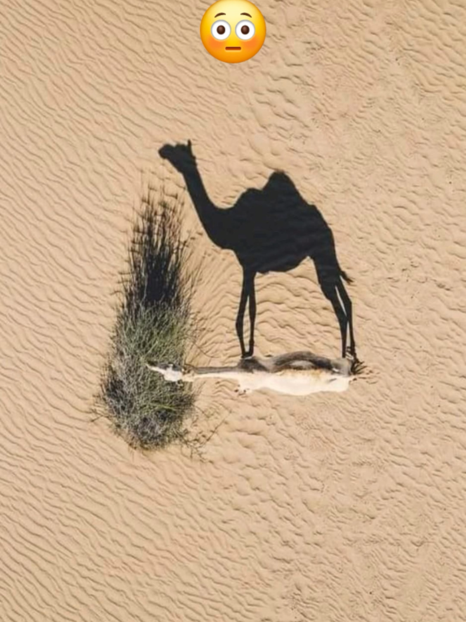 Fotos Asombrosas Captadas Por Drones 📷😳 #interesante #SabiasQue #drones #foto #xyzcba #fyp 