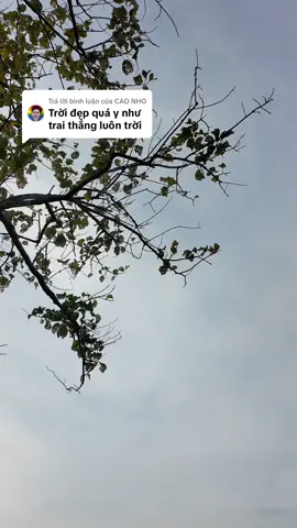Trả lời @CÁO NHỎ chứ trước giờ trai gì ông nội 🙂