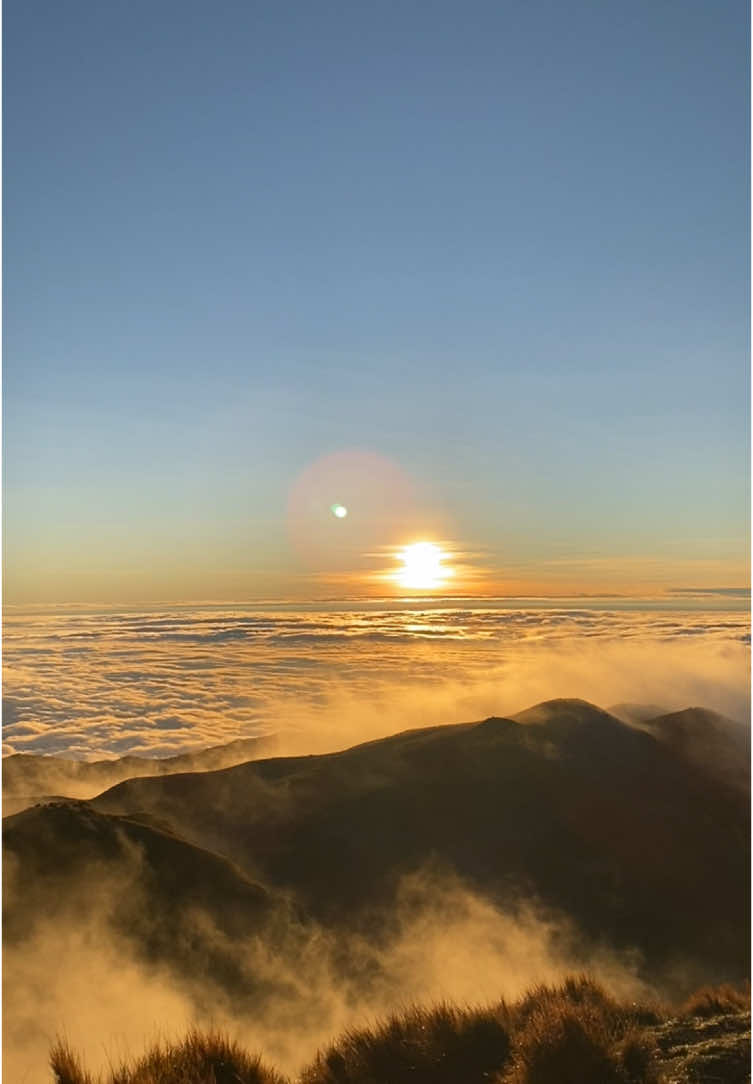 Blessed to witness this magnificent clearing and good weather at mount Pulag’s peak!🙌  #mountpulag #mountpulagsummit #hikingadventures #Hiking 