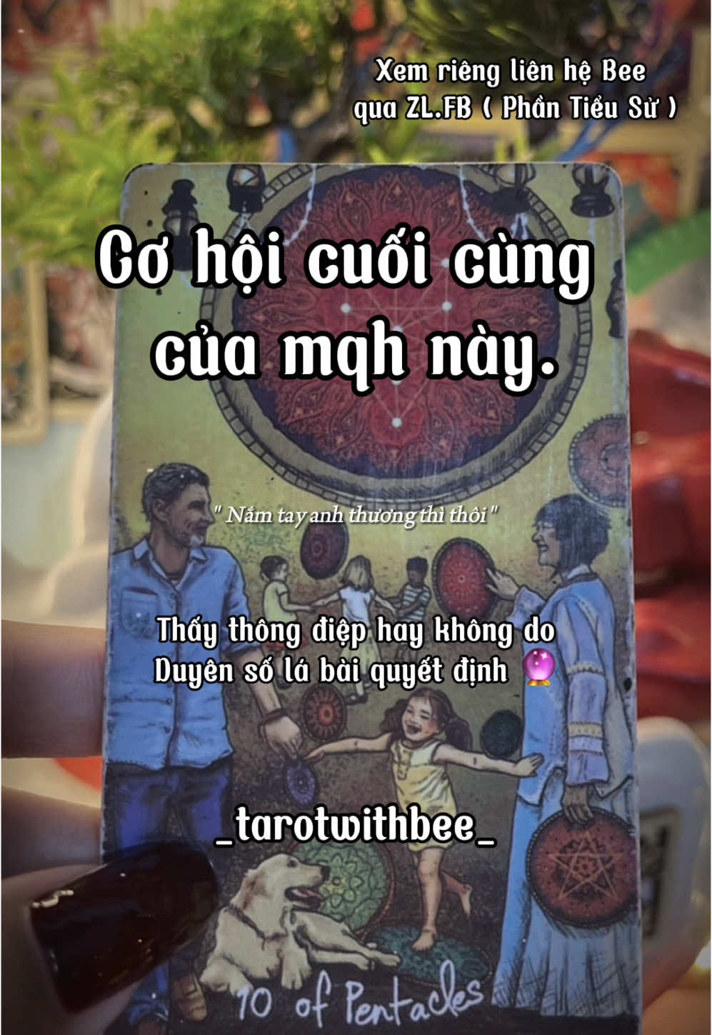 Cơ hội cuối cùng của mqh này #tarot #tarotwithbee #xh #xuhuong #nguoiyeucu #viral #xemboi #xemboituvi #chitay #tuvi 