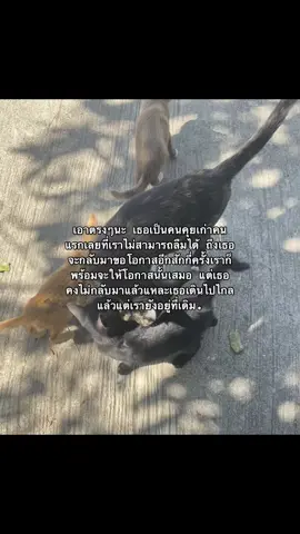 คิดถึงมากๆเลย🫠#คิดถึงคนเก่า #ฟีดดดシ #พั้นช์ #เธรดเศร้า #อกหัก 