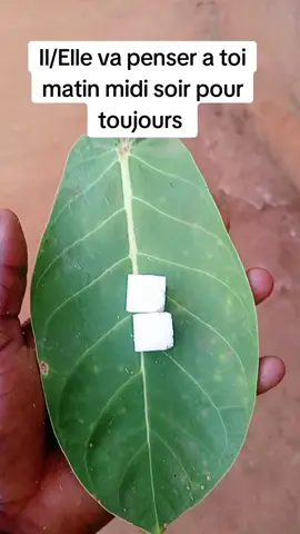 #niamey #dubai #canada_life🇨🇦 #france #cotedivoire🇨🇮 #marocaine🇲🇦 #mauritanie #suisse #gabon🇬🇦 #sénégal #congolaise🇨🇩 #malitiktok🇲🇱 #burkinatiktok🇧🇫 #amour #togolais228🇹🇬 #niameyniger🇳🇪💃🏻🔥 #retouraffectif #mariage 