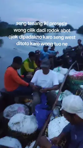 perang teruss#jayalahpetaniikan🐟🦐 #sidoarjo24jam 