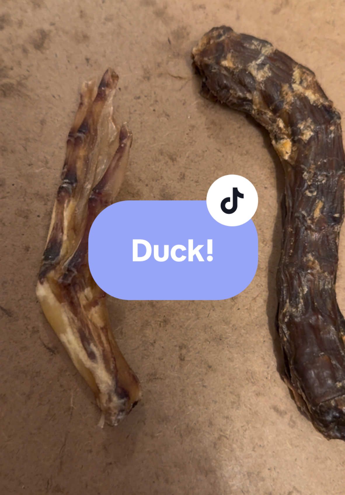Duck! Get our duck feet or necks now 🐶🐾🦆 #pet #yak #yakbar #dachshund #natural #naturalpetcare #treatyourbestie #fyp #tiktokshop #longlastingdogchews #naturaldog #naturaldogtreat #naturaldogchews #naturaldogfood #dog #enrichment #lickmat #dogenrichment #enrichmentfordogs #duck 