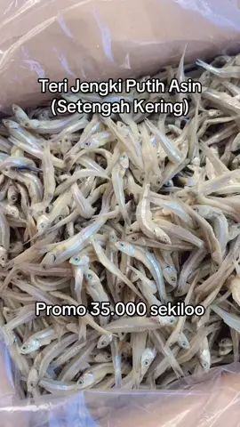 Teri jengki putih premiummm