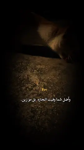 ##عبارتكم #😔🥀💔 