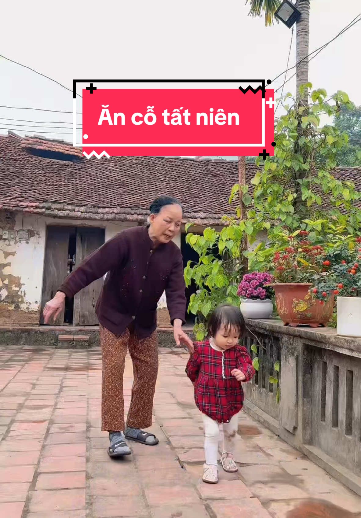 Đi tạ mộ với bà ngoại. Ăn cỗ tất niên.