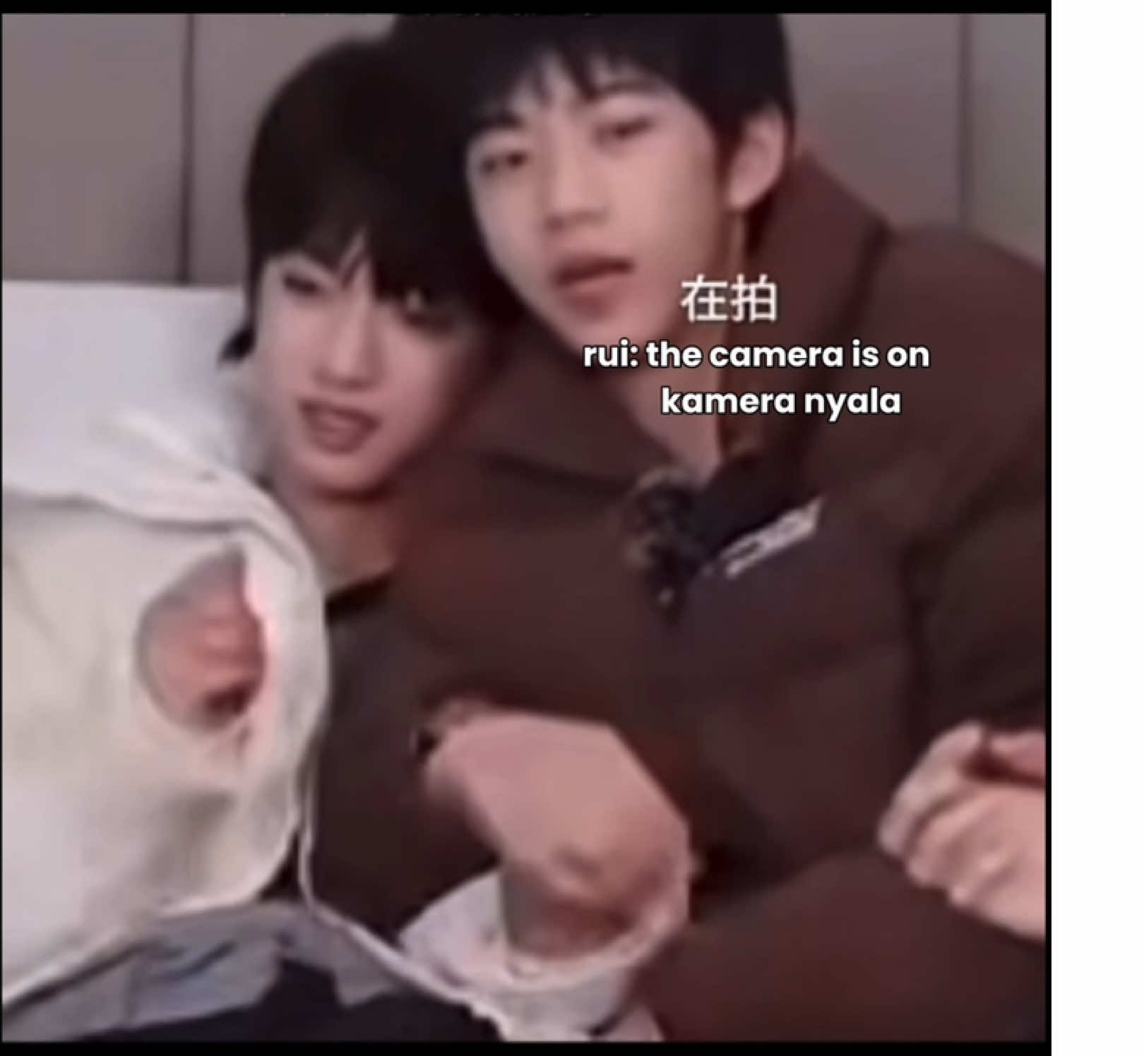 #guirui #zhanghanrui #zhangguiyuan #yanghanbo #tffamily_4th_generation 