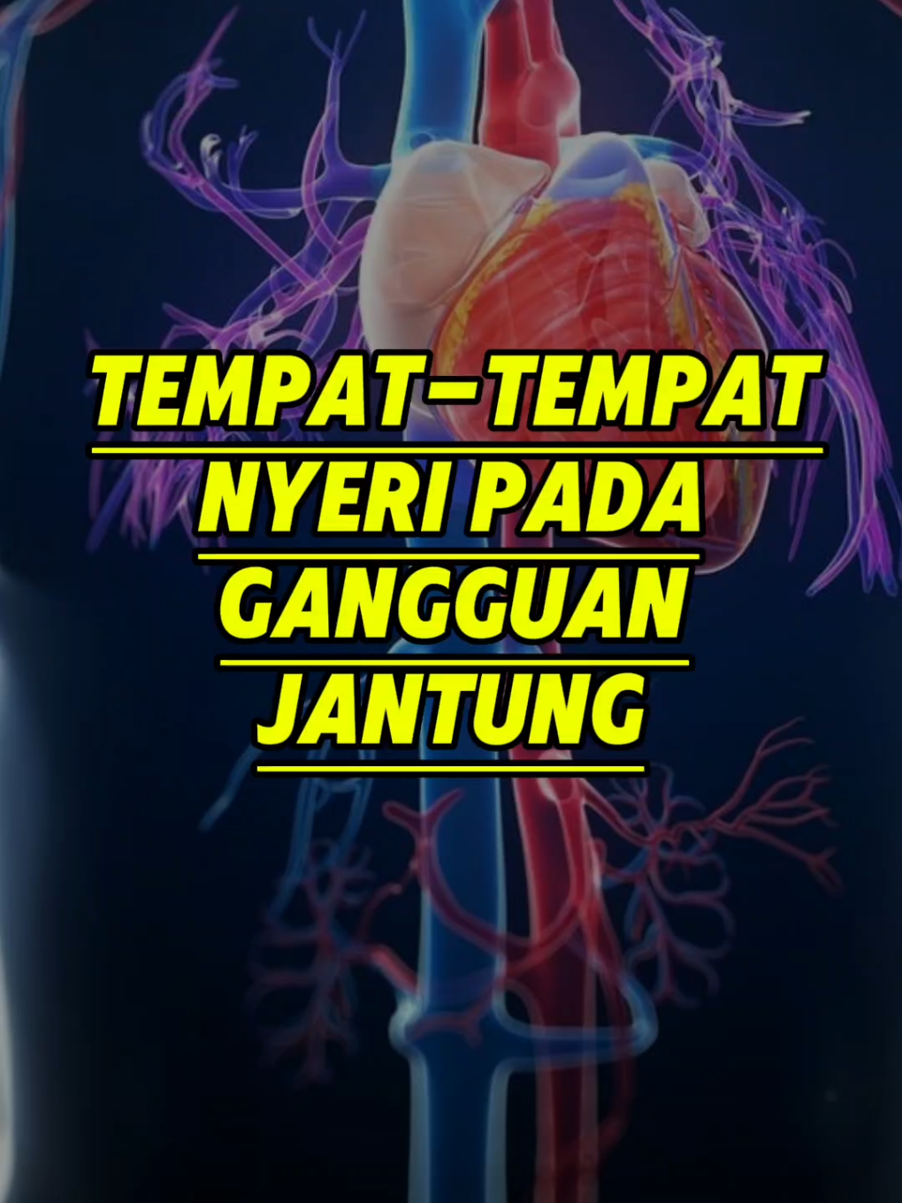 TEMPAT-TEMPAT NYERI PADA GANGGUAN JANTUNG #herbal #infokesehatan #sehat 