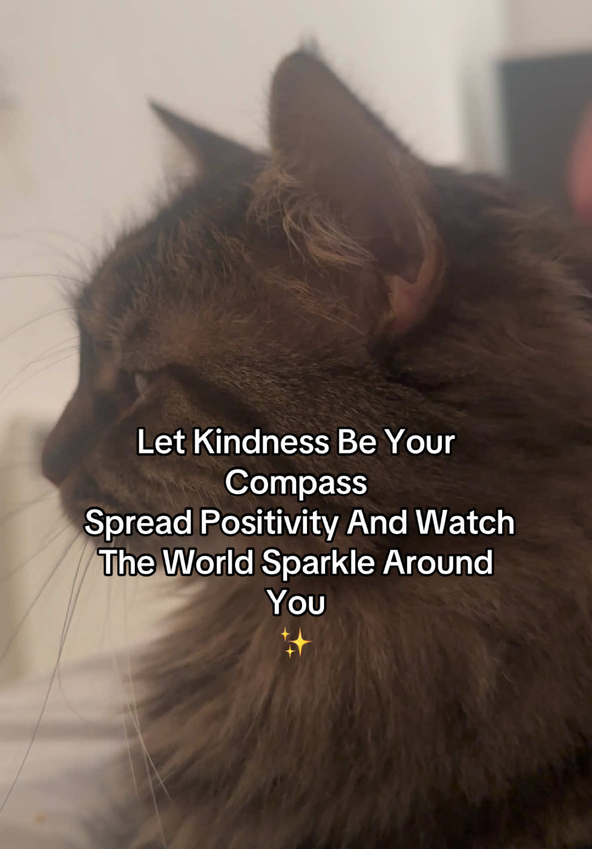 ✨Kindness✨ #fyp 