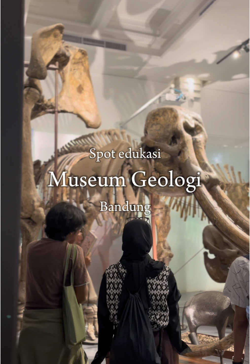 Spot edukasi di tengah Kota Bandung , disini kita bisa belajar tentang ilmu geologi dan melihat berbagai koleksi fosil, batuan dan mineral . Yang belum pernah kesini yuk coba main ke @museum_geologi Bandung. #museum #museumgeologibandung #bandungplacetogo #creatorsearchinsights #foryoupage 