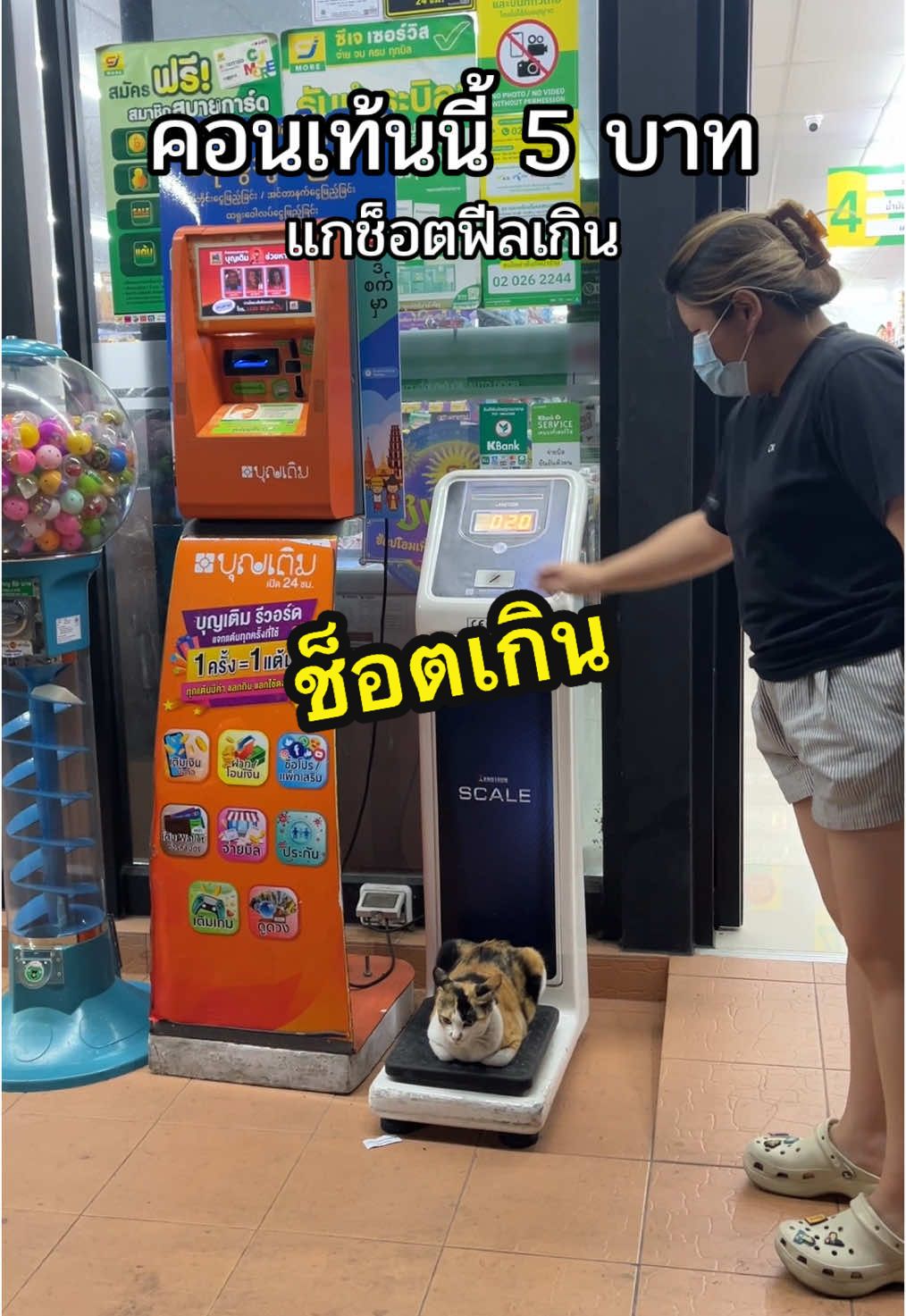 ❗️อ่านก่อนเม้น❗️ที่ชั่งน้ำหนักไม่ใช่ 5 บาทนะ คือฉันไม่มีเหรียญบาทเลยใช้เหรียญ5 หยอดจ้าช็อตมาก คอนเท้น5 บาทคนดู10  #แมว #สัตว์โลกน่ารัก #ช็อตฟีล 