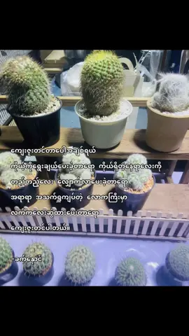 😭💗 #thinkb4youdo  #ခက်နှောင်  #fyp 