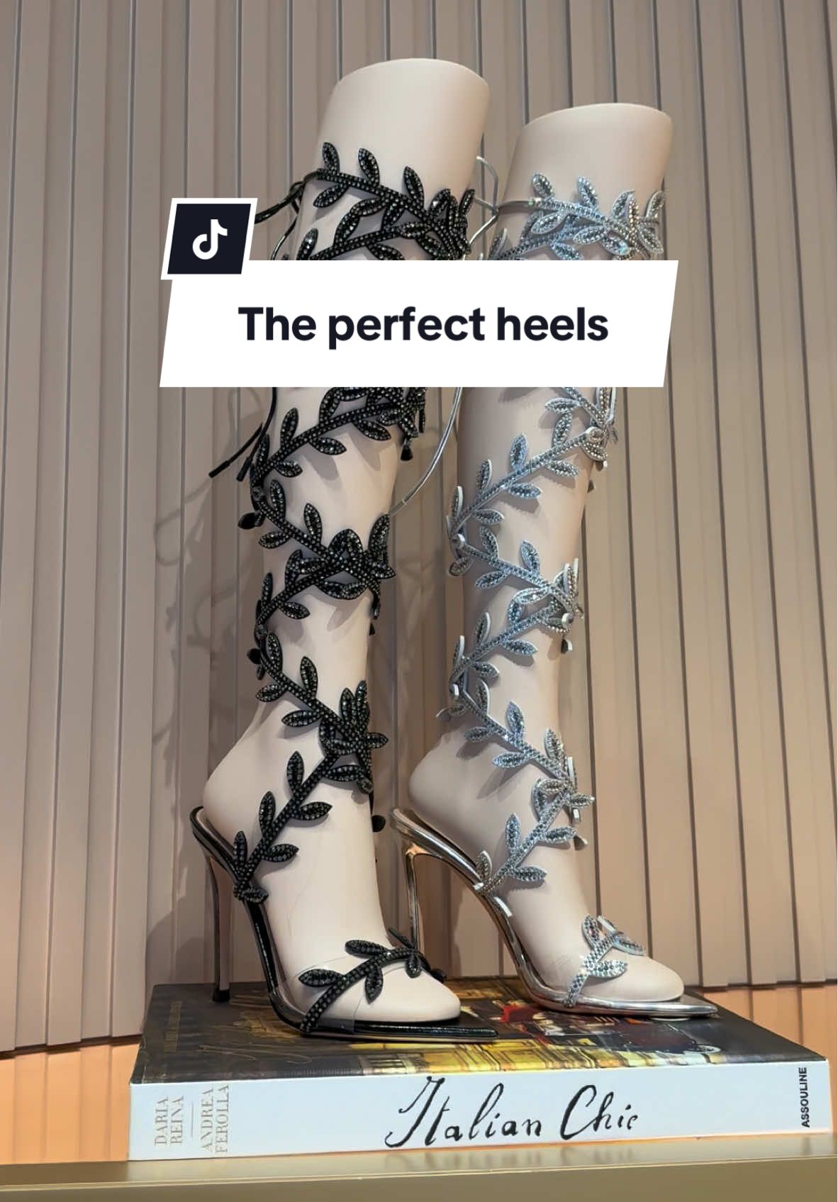 The perfect heels excist 👠 #gianvitorossi #higheels #luxury 