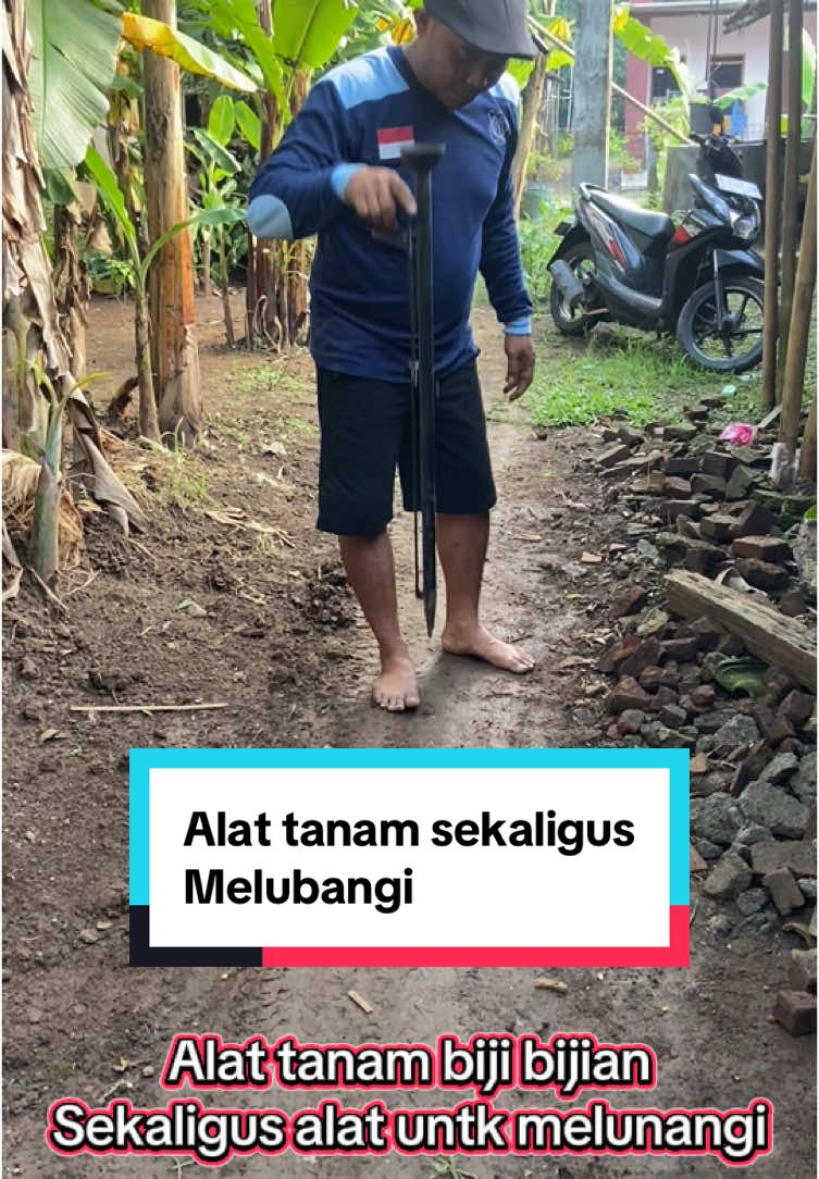 Satu alat dua multifungsi, alat tanam biji bijian sekaligus melubangi#alatpertanian #alattanamjagung  #PertanianModern #JagungBerkualitas #PetaniIndonesia #AlatPertanian #TeknologiPertanian #PanenMelimpah #PetaniSukses #PertanianIndonesia #TanamJagung #InovasiPertanian