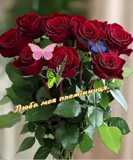 ##привітанняукраїнською з днем народження для племінниці ##