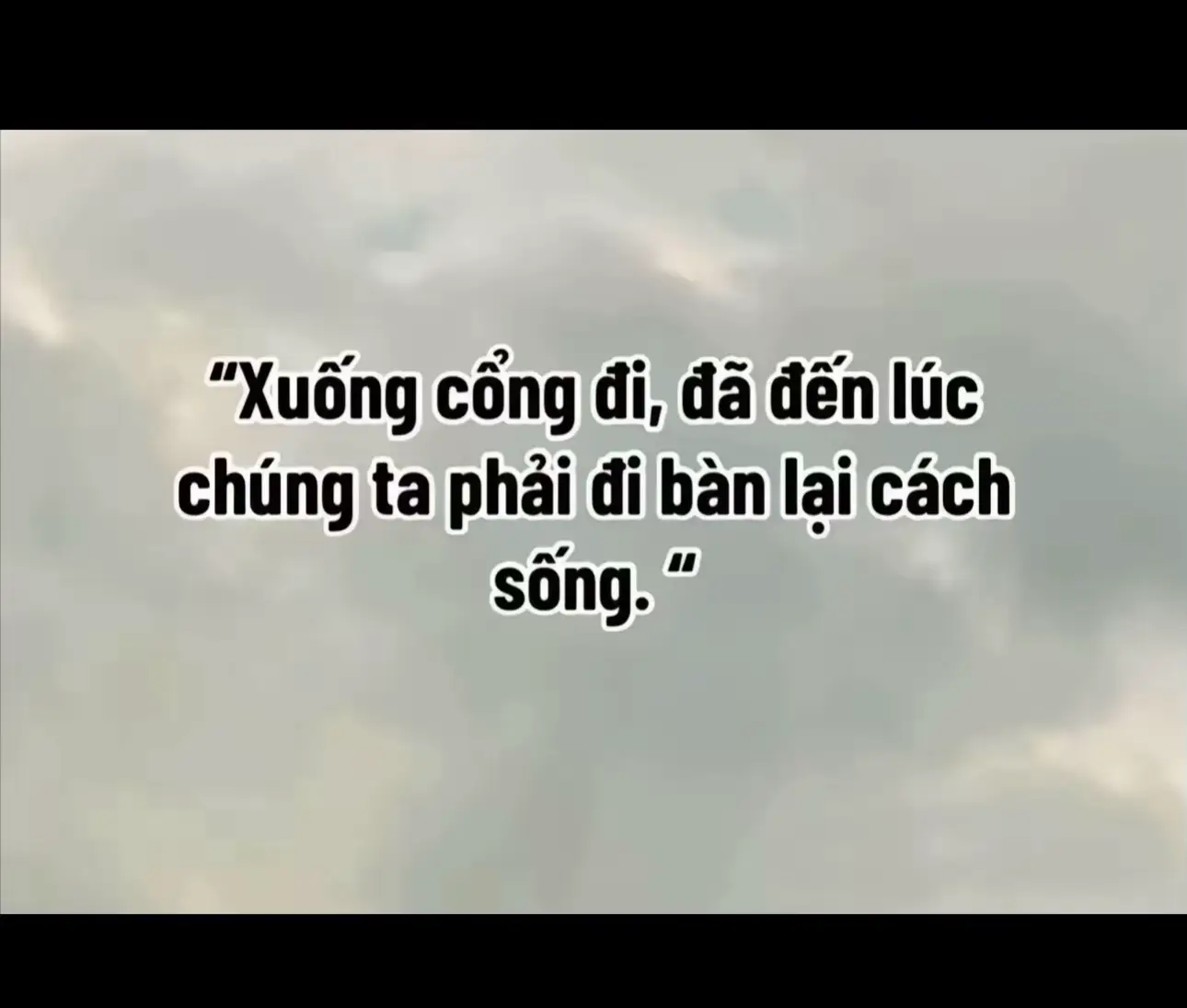 Hoà đời 1-1  Chồng cắm sừng  Nhưng hội đồng quản trị chữa lành cho cô bé tổn thương ❤️‍🩹 #viral #tet2025 