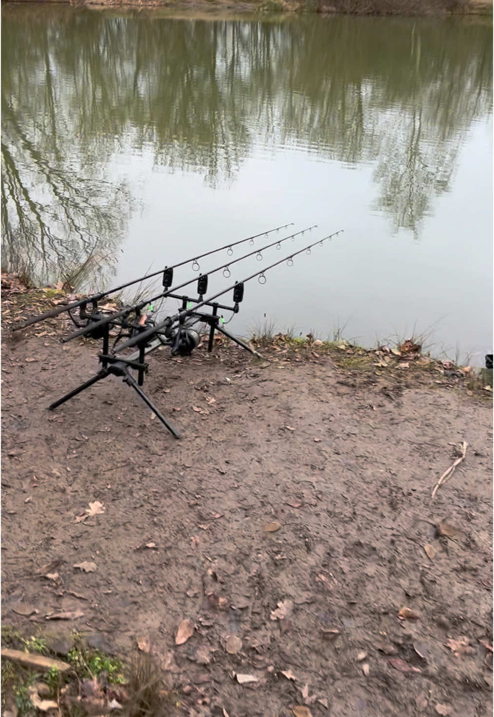 Rods are out and ready 🎣 #fyp #foryou #foryoupage #fishing #fishinglife #fishtok #angler #carpfishing #nayzofishing #viral 