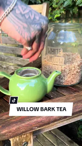 Willow Bark Tea 🌳☕️🫖 Winter is when I harvest my white willow bark as this is when the tree contains the highest concentrations of salicin.  Known as natures aspirin and it has traditionally been used to relieve pain and is said to be anti-inflammatory due to its accompanying flavonoids.  I just prune some young branches, crush and dry them in a dehydrator on a low setting or just leave them out in a warm, well ventilated room and once dry I store them until needed.  I then just steep the bark in hot water for 3-5 minutes and drink as a tea.  I use it in moderation though, as too much can cause stomach cramps and other possible issues. And if allergic to aspirin, then I wouldn’t use this either.  Willow trees can also absorb heavy metals, so it’s important to avoid willows growing near industrial sites for example. And remember always ensure correct identification by consulting multiple sources, be conscious and cautious when removing branches from the trees to limit disturbance, and do not remove bark from the trunk as this may allow pathogens to enter which could kill the tree.  Not medical advise, just sharing my experiences and observations, so as always, it’s best to conduct your own research before deciding if it’s right for you. 😊 Just one of many reasons why willow is one of my favourite trees, what’s yours? 🌳 #foraging #homeremedies #willow #herbaltea #herbalism #gardeningtips 