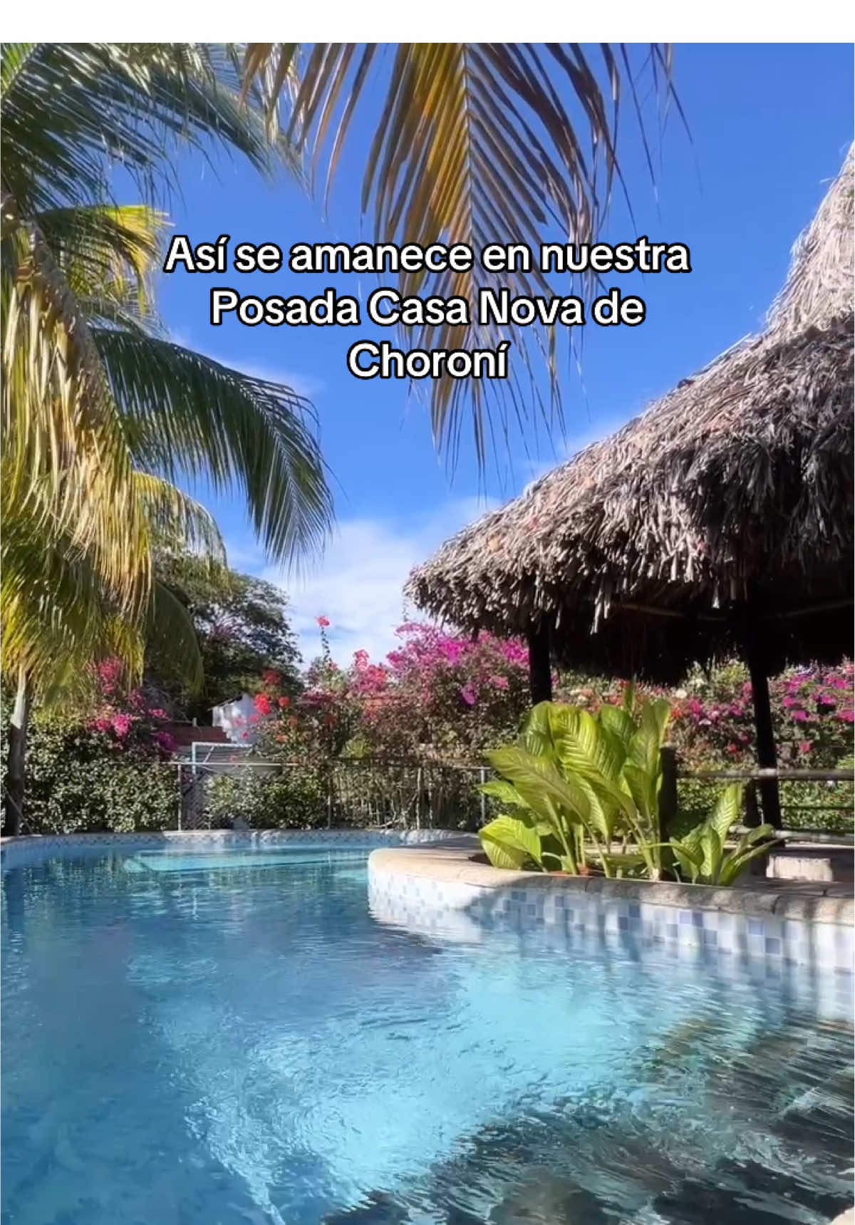 Vengan a visitarnos, los estamos esperando 🤩🤩🤩🏖️🏖️🏖️ Para reservas: déjennos sus comentarios en los videos o al privado😎😎 #Venezuela #Aragua #Choroni #PlayaGrande #PuertoColombia #PosadaCasaNova #HostalNovaColonial 