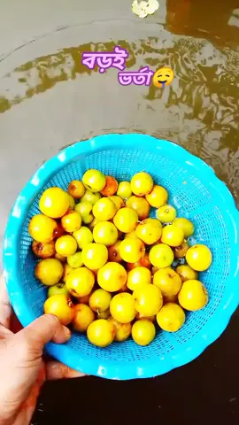 খাইবা নাকি🤤 #শীতকাল #বড়ই_ভর্তা #🤤🤤🤤 #ভর্তা_ভিডিও #🥰💝♥️❤️🌹🌹 #minivlog #💖💖💖 #song #tiktok #sound #tiktok #viralvideo #terding #foryou #💝🥰😍 