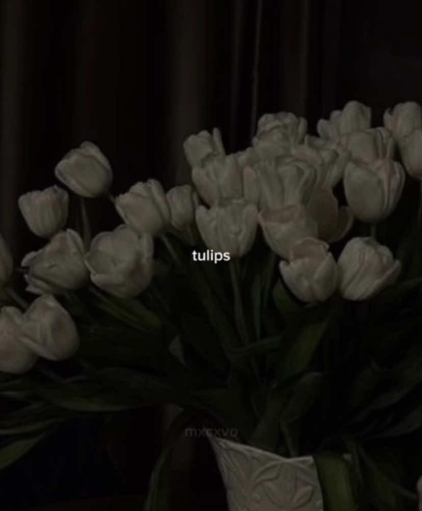 #fyp #flowers #aesthetic #tulips 