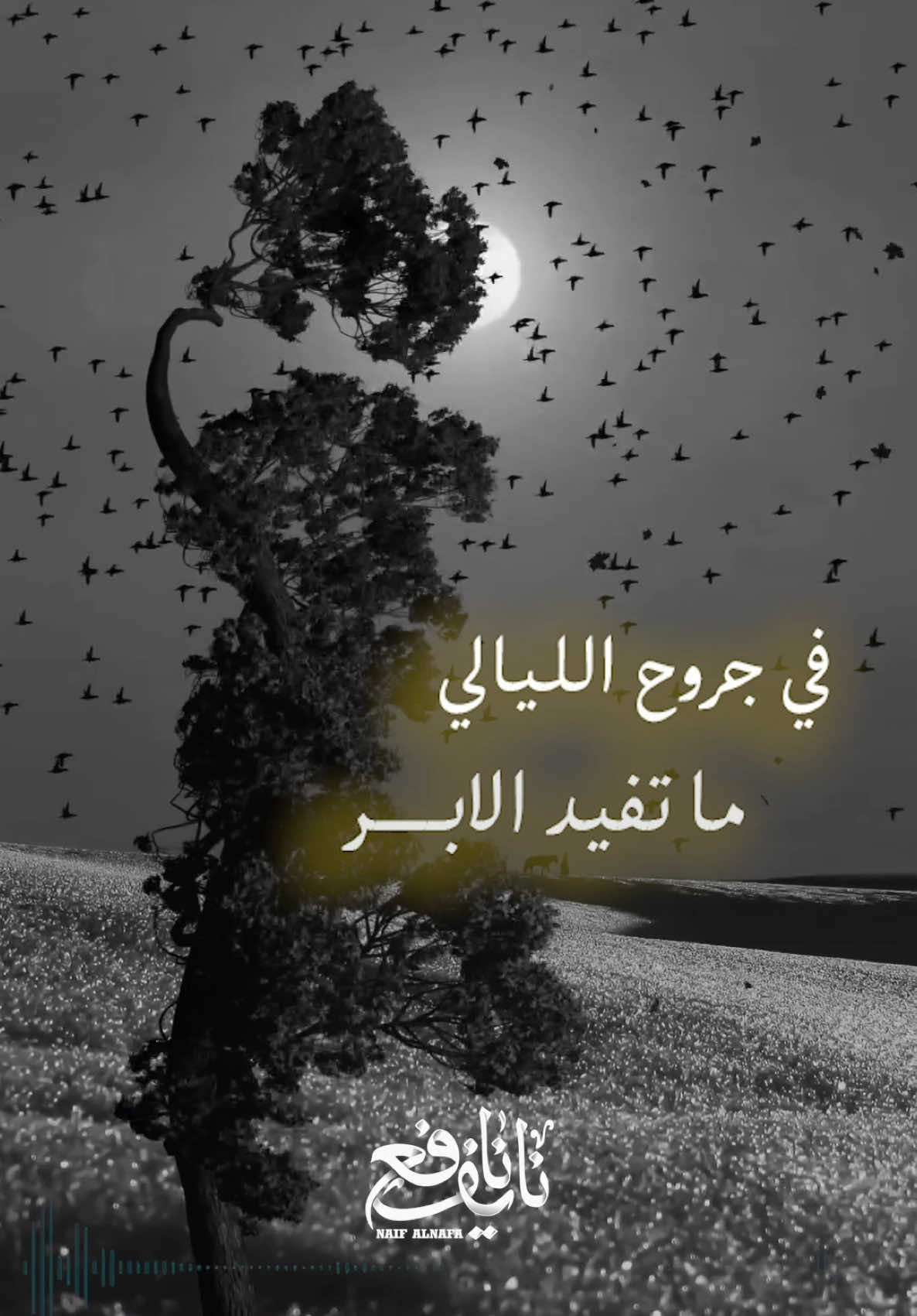 القضاء والقدر ٠٠٠ #نايف_نافع #شيلات #اليمن 