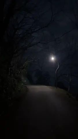#night #streetlight #dark #darkstreet #quietstreet 
