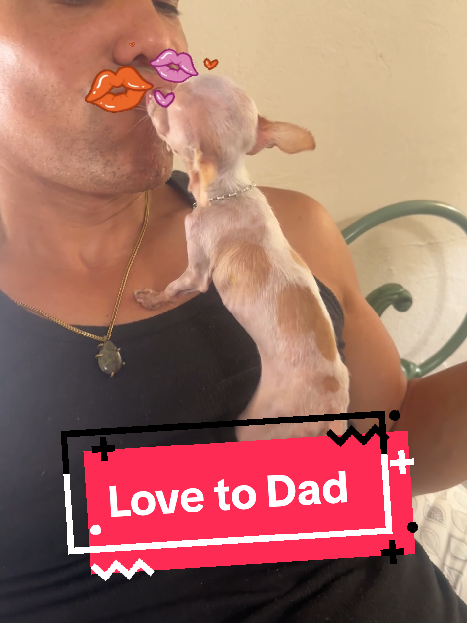 🐾❤️Love to Dad👩🏾‍🦲 #Chihuahua #ChihuahuaLove #SmallDogBigPersonality #PocketPup #TinyDogBigHeart #PetFluencer #chihuahuadaily #mew4guinnes 