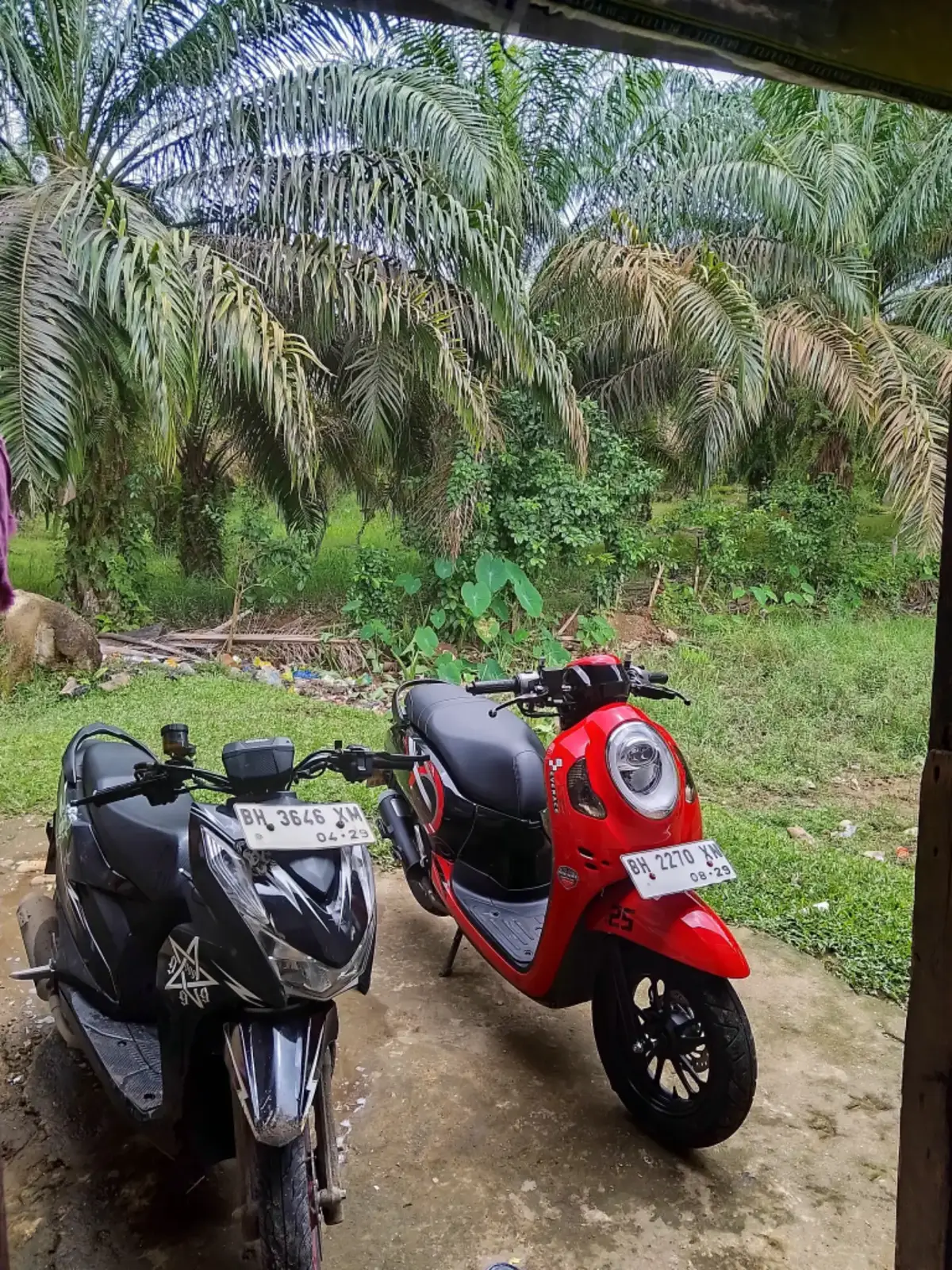 #scoopyindonesia #beat 