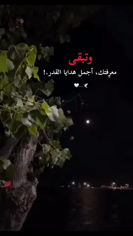 #وتبقي معرفتك أجمل هدايا القدر🫵♥️