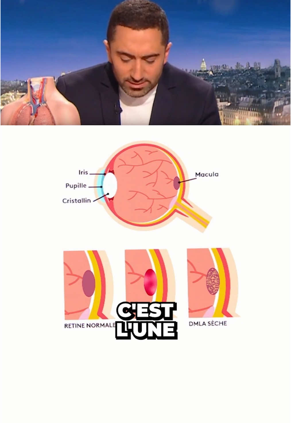 Alimentation ✅❌