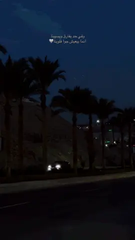 وفي حد يفارق ويسيبنا انما بيعيش جوا قلوبنا بتغيب الشمس  انما اسمه وعمره ما يغيب🩶#الله_يرحمك_ويجعل_مثواك_الجنه_يارب #شيرين_عبدالوهاب #روح_انسان #sherinabdelwahab #songs #اغاني #بودي_عبودي #عبودي_بودي #حالات_واتس #الشعب_الصيني_ماله_حل😂😂 #مصر_السعوديه_العراق_فلسطين #egypt #fyp #مالي_خلق_احط_هاشتاقات #foryoupage❤️❤️ 